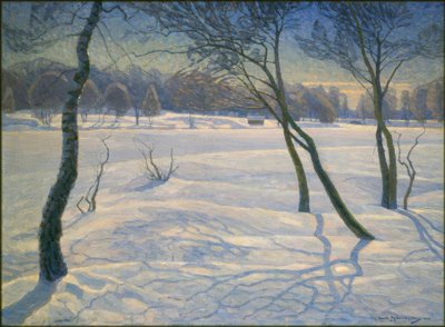 Sonniger Wintertag in Schweden von Carl Johansson